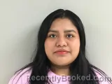 Mugshot of OFELIA S HILARIO booked in Wilson County, Tennessee on May 22, 2026