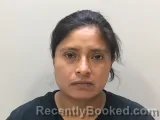 Mugshot of Rafaela P Lopez- Lopez booked in Wilson County, Tennessee on August 7, 2026