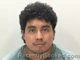 Mugshot of Pedro A Mendez Jose booked in Wilson County, Tennessee on August 7, 2026