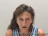 Mugshot of Melissa D Phillips booked in Wilson County, Tennessee on July 31, 2026