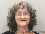 Mugshot of CONNIE H STAMPS booked in Wilson County, Tennessee on July 2, 2026