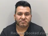 Mugshot of LUIS TORRES