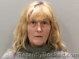 Mugshot of RHIANNON L TURLEY booked in Wilson County, Tennessee on April 30, 2026