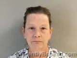 Mugshot of DEBRA B WILLIS booked in Wilson County, Tennessee on July 8, 2026