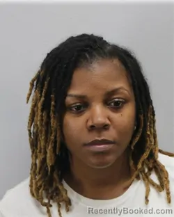 Mugshot of BRITTANY NATAEZA STIEFF