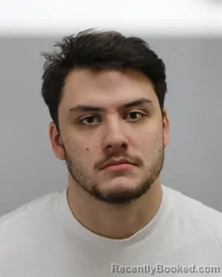 Mugshot of WILLIAM ANTHONY IGNATOWSKI