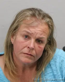 Mugshot of AMANDA RAY ROBINSON