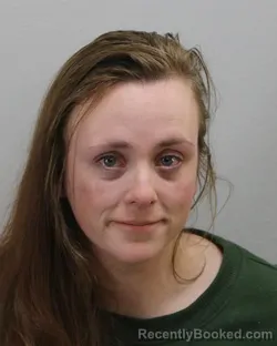 Mugshot of AMANDA LYNN HAMMONDS