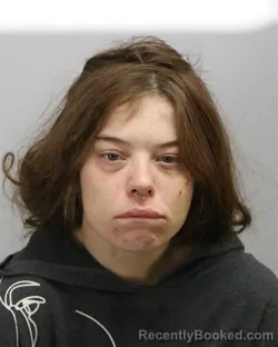 Mugshot of BROOKE MARIE COLLETT