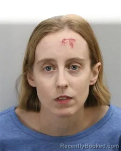 Mugshot of KATHLEEN LORRAINE ROSS