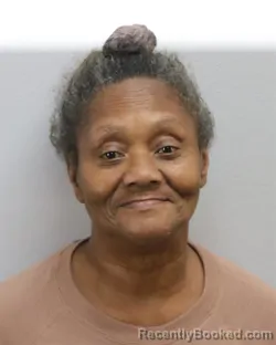 Mugshot of SUSAN REGINA EVANS