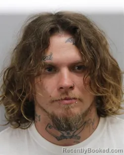 Mugshot of JOSHUA RYAN WOODS