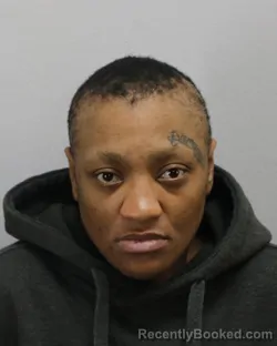 Mugshot of NICOLE ELOUISA FARAKHPOUR