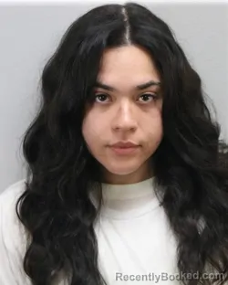 Mugshot of SELETTA JULIE HURON