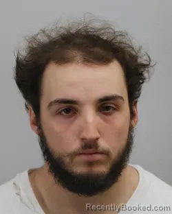 Mugshot of MATTHEW EVAN WILSON