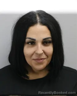 Booking photo from Virginia Beach County, Virginia