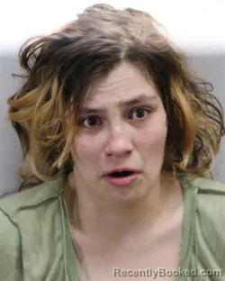 Booking photo from Virginia Beach County, Virginia