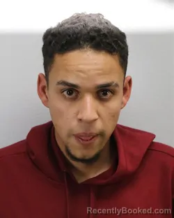Mugshot of PEDRO HENRIQUE SANTOS SIQUEIRA