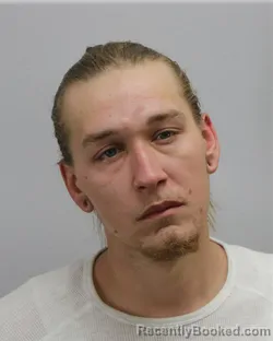 Mugshot of JOHNNIE WAYNE HOLLAND