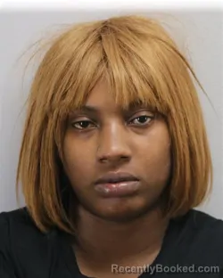 Mugshot of TAQUILA SHAHMAY MITC MCGINNIS