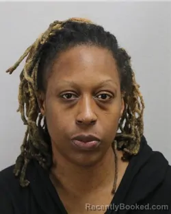 Mugshot of ELYSE MICHELL EVERETT