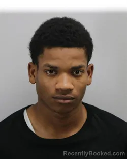 Mugshot of JAMARION DESHAWN EVANS