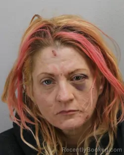 Mugshot of DANA LOUISE WINTER