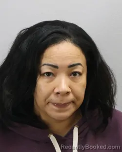Mugshot of YONG DARLENE BURROW