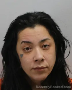 Mugshot of ASHLEIGH SLOANE BARCYNSKI