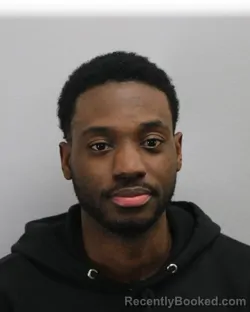 Mugshot of DARYL LEWIS ROBERSON