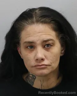 Mugshot of LYNDA LOU BREWER