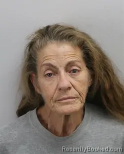 Mugshot of DONNA MARIE ZEO