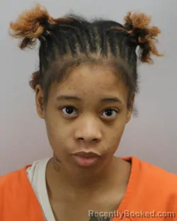 Mugshot of AKILAH STEPHANIE BROWN