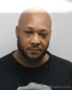 Mugshot of BRIAN MONROE DAVIS