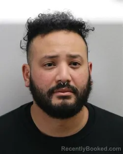 Mugshot of LUC ISSAC PAPILLION