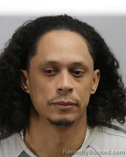 Mugshot of VINCENT GONZALES-SILVA