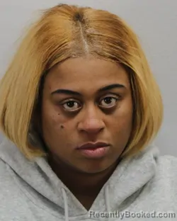 Mugshot of DESTINY ARMANY LITTLE