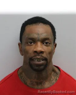 Mugshot of KING MARIO SHATTA