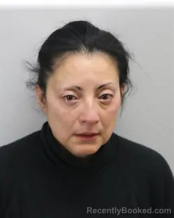 Mugshot of ANA MELISSA LYONS