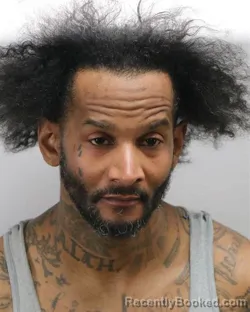 Mugshot of TERREL LEE WILLIAMS