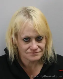 Mugshot of JEAN ANNE JOHNSON