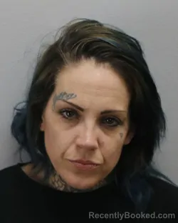 Mugshot of AMANDA LYNN RAY