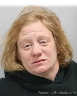 Mugshot of AMANDA LAUREN SNYDER