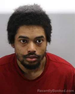 Mugshot of LLAMAR DANIEL STANBURY