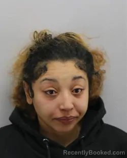 Mugshot of DIAMOND SHALEE TIBBS