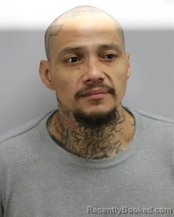 Mugshot of FRANK ANTHONY DOMINGUEZ