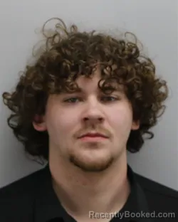 Mugshot of RYAN ZACHARY GUGLIELMINI