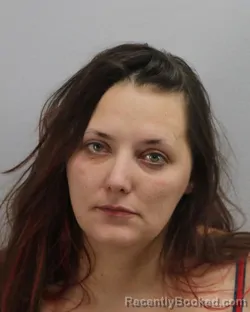 Mugshot of DANIELLE LEIGH BRINKLEY