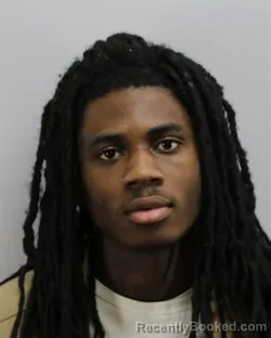 Mugshot of RAJGEI LEONJ HOPKINS