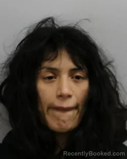 Mugshot of SARAH RACHEL REYES